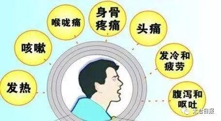 狗狗健康專題，探討狗狗咳嗽時(shí)能否接種疫苗的注意事項(xiàng)