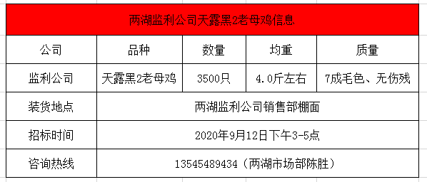 監(jiān)利招投標(biāo)，推動(dòng)地方經(jīng)濟(jì)發(fā)展的核心動(dòng)力