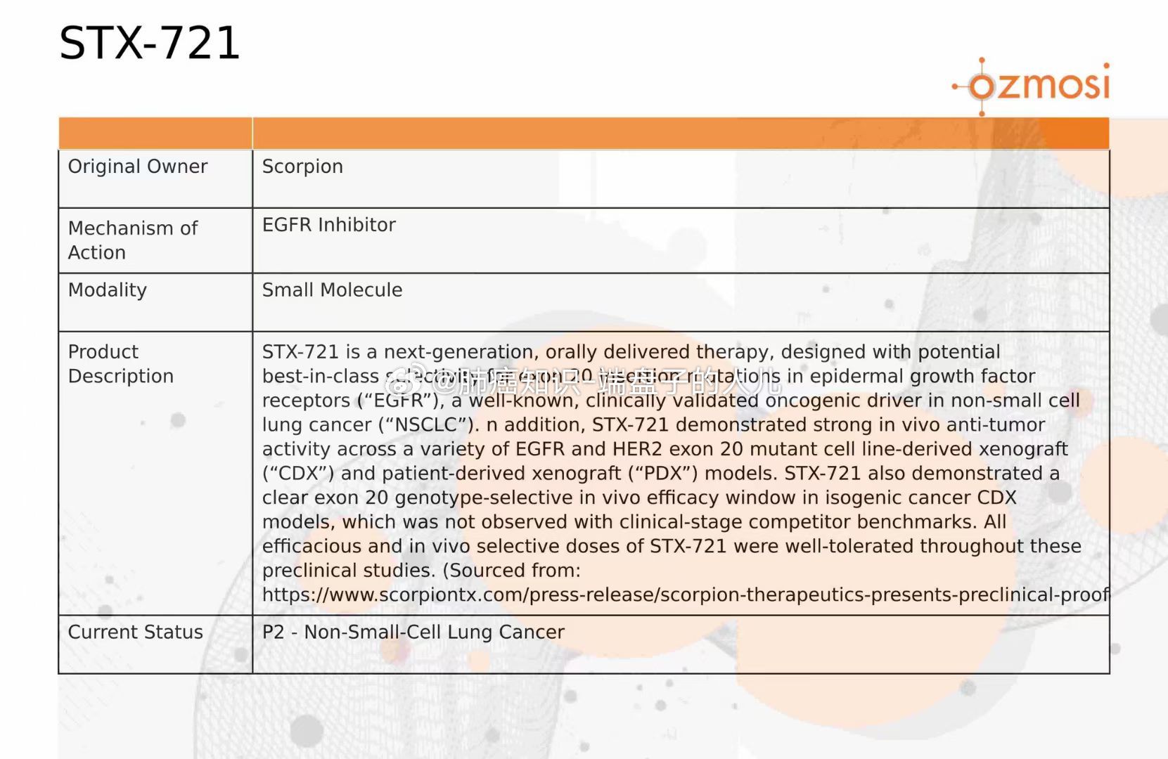 STX最新動態(tài)引領(lǐng)行業(yè)變革風(fēng)潮