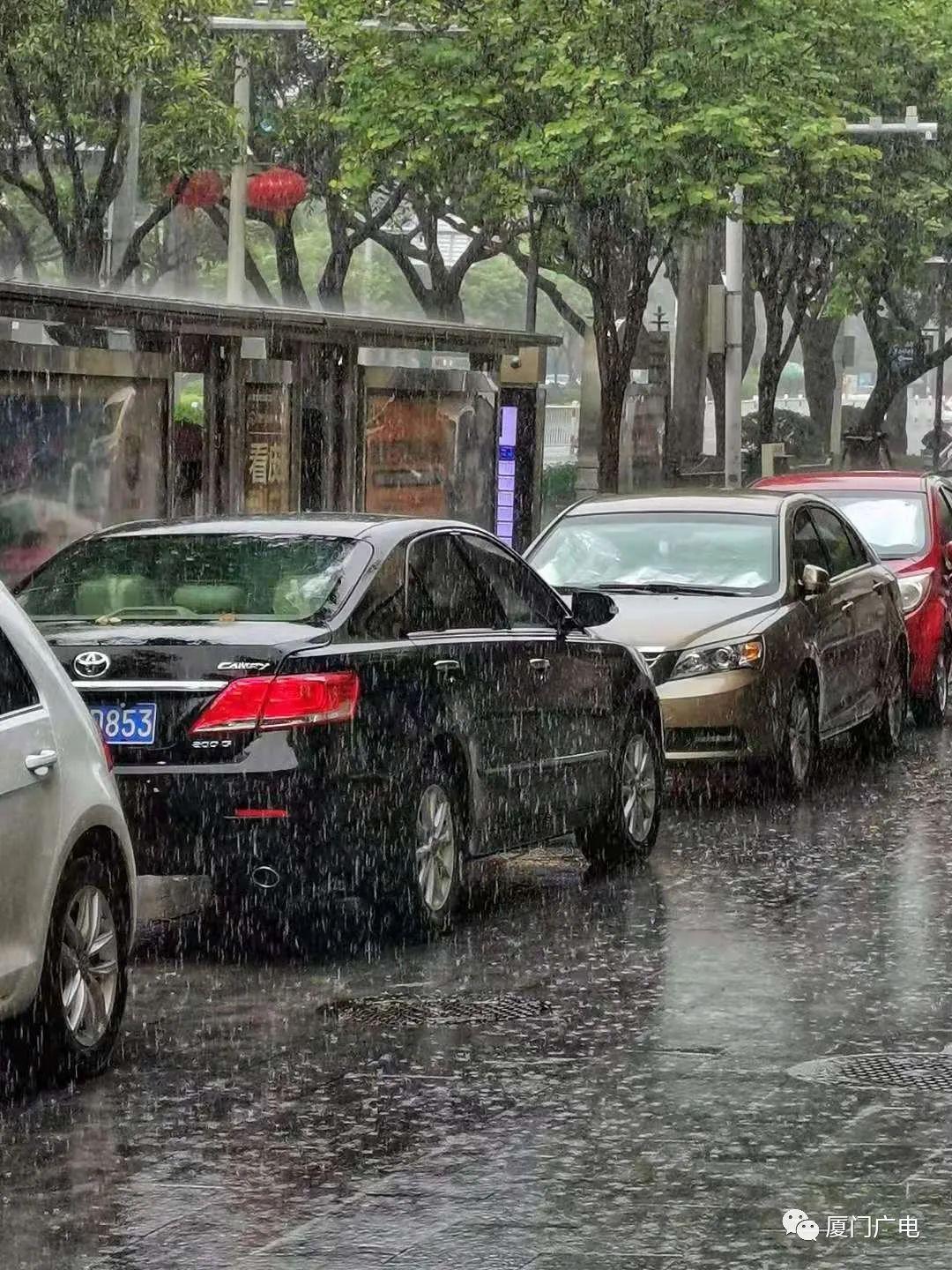 福建暴雨預警信號升級，守護生命安全刻不容緩