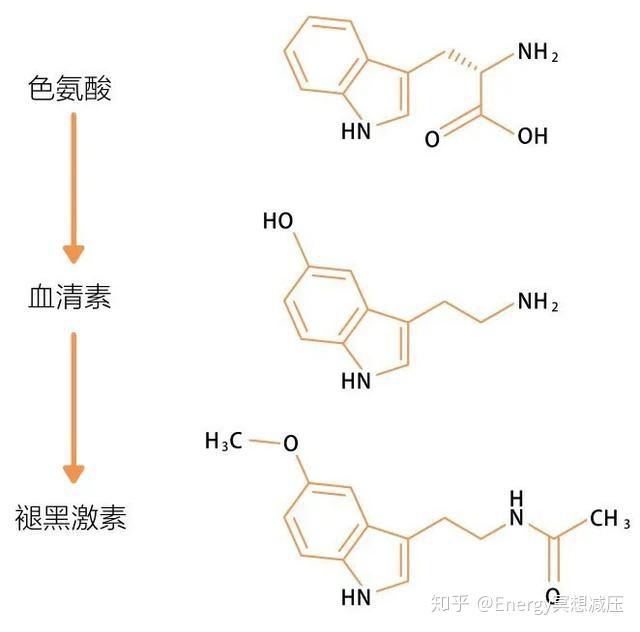 血清素最新研究進(jìn)展及其應(yīng)用領(lǐng)域探究