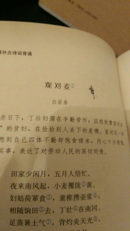 楊孟軍詩歌賞析，探索詩意之美