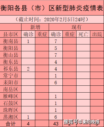 衡陽最新疫情案例，城市應對挑戰(zhàn)與措施